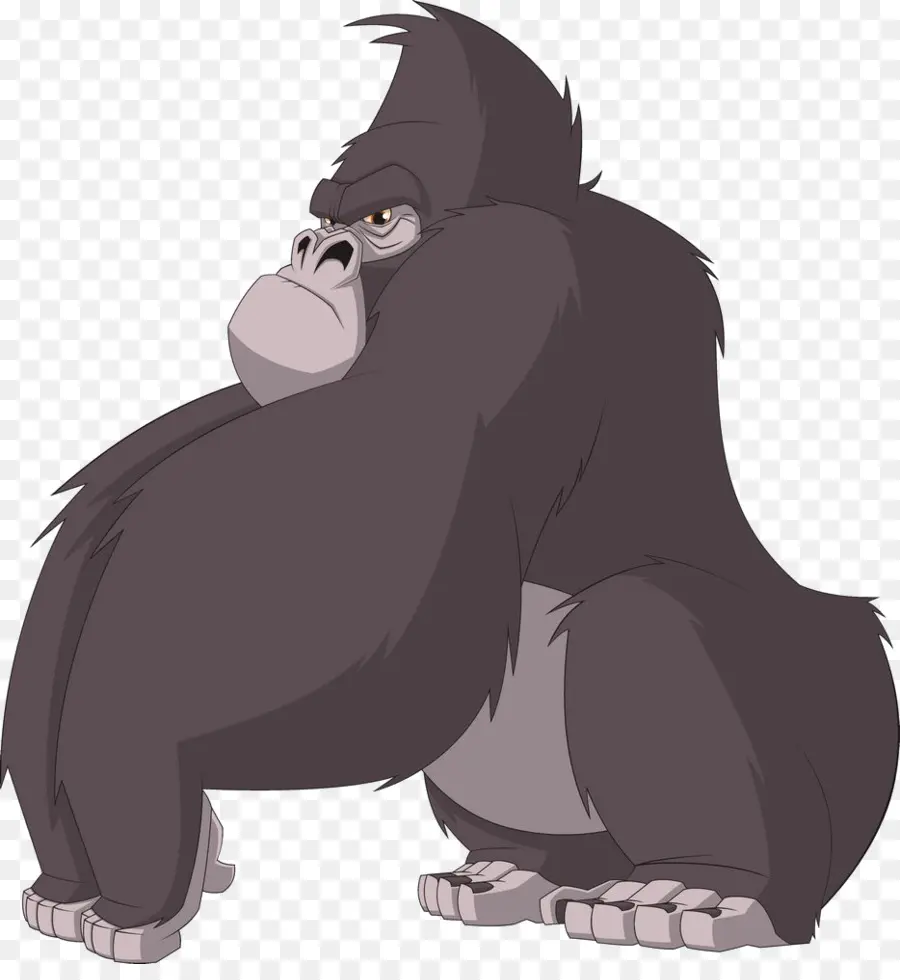 Chimpanzé，Gorille PNG
