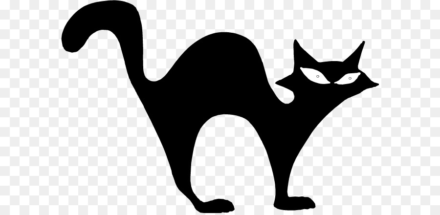 Chat Noir，Animal De Compagnie PNG