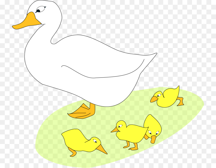 Canard，Oie PNG