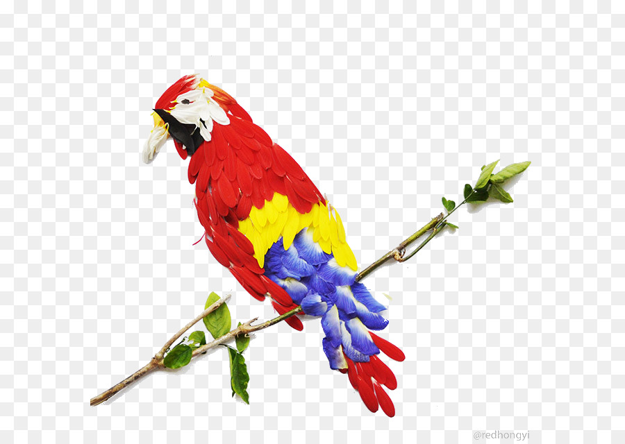 Oiseau，Fleur PNG