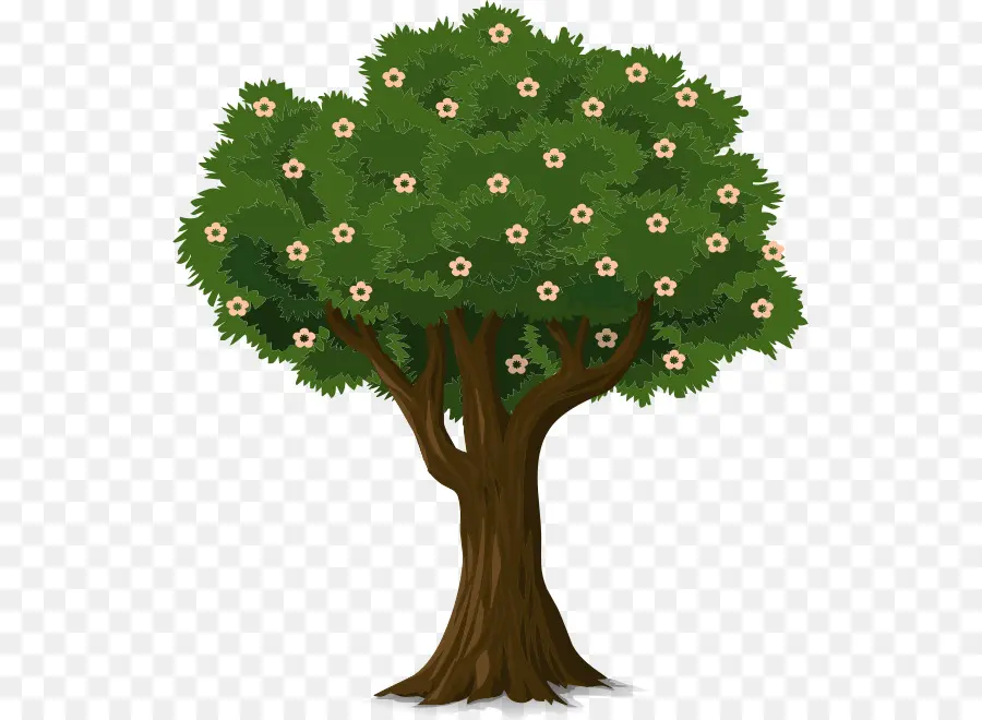 Arbre Touffu Vert，Arbre PNG