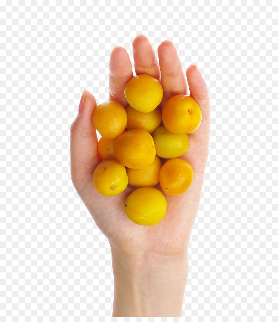 Main Tenant Des Fruits Jaunes，Main PNG