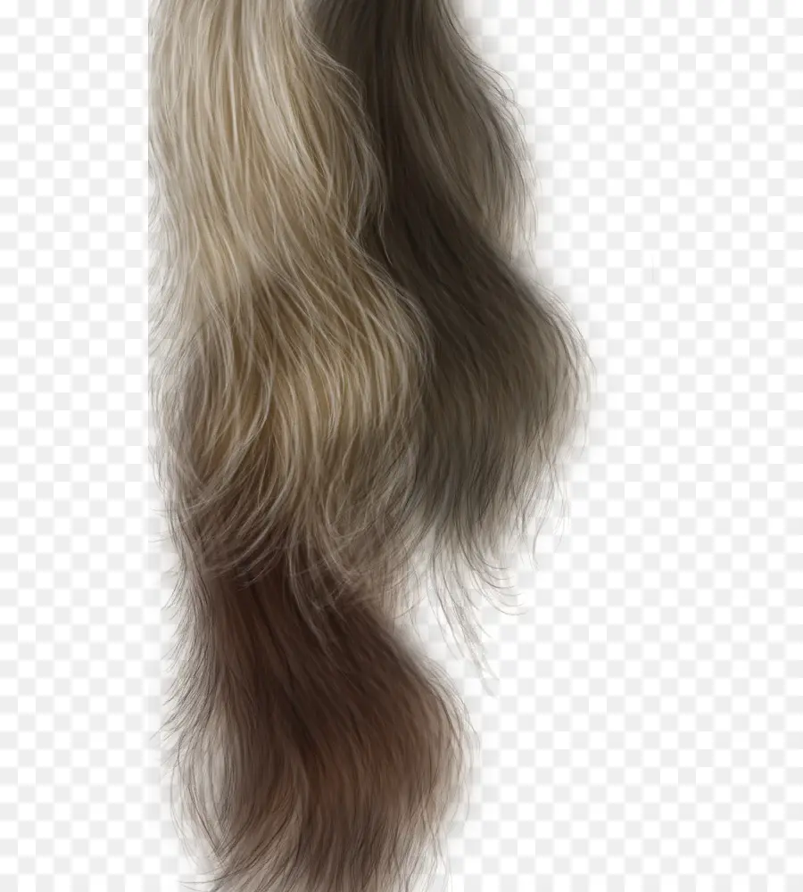 Cheveux，Les Cheveux Longs PNG