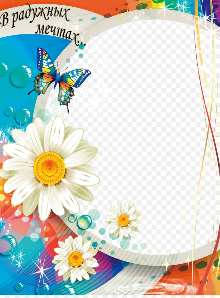 Fleurs，Marguerites PNG