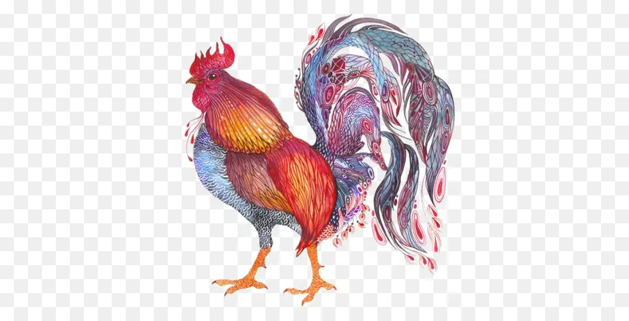 Coq，Poulet PNG