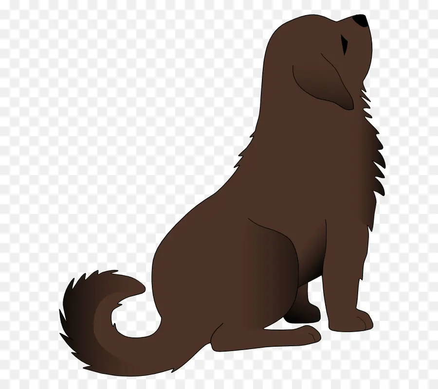 Chien Brun，Animal De Compagnie PNG