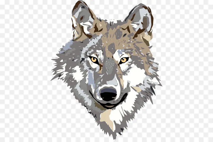 Loup，Faune PNG