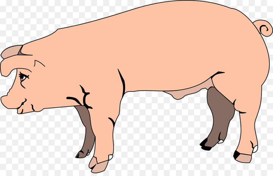 Cochon Rose，Cochon PNG