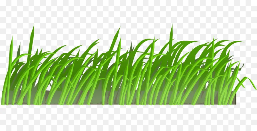 Herbe，Pelouse PNG