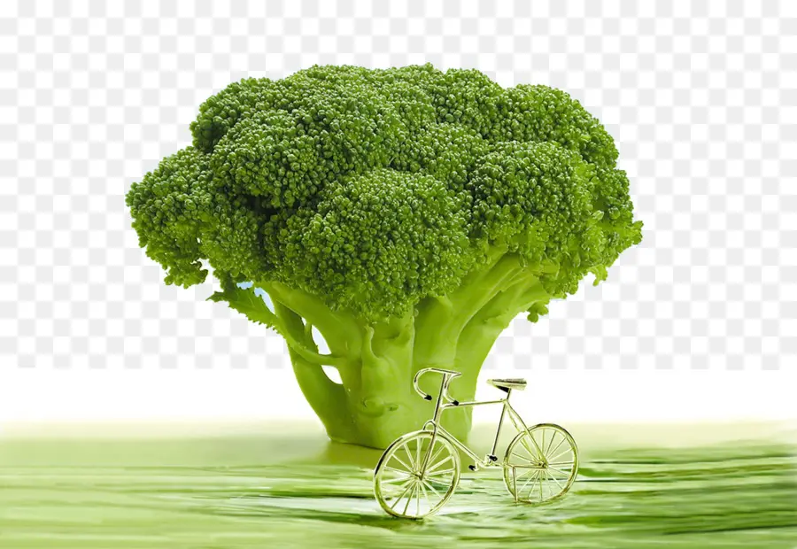 Brocoli Vert，Vélo PNG