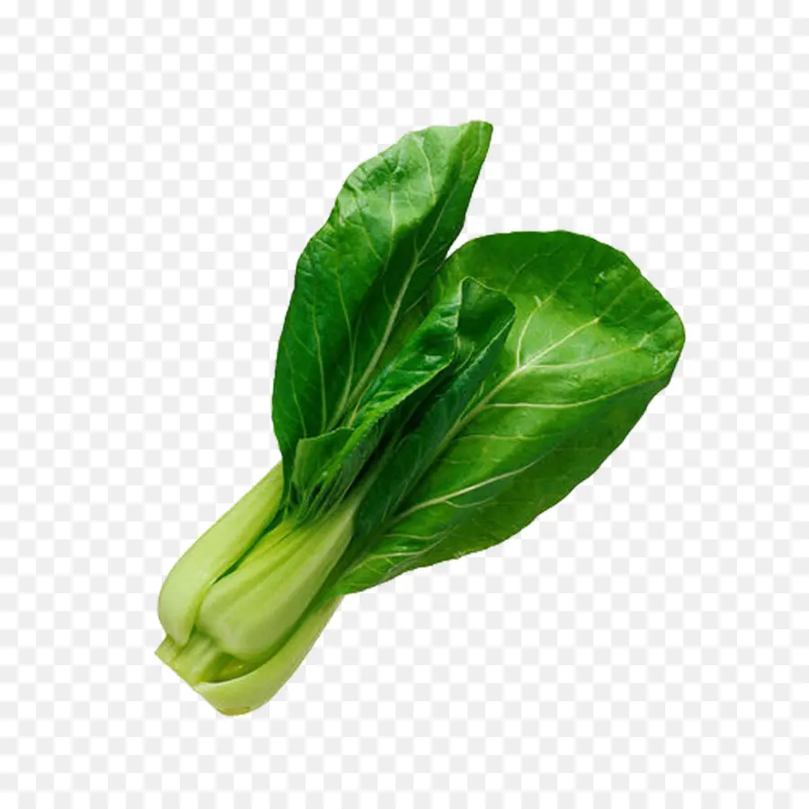 Bok Choy，Chou Chinois PNG