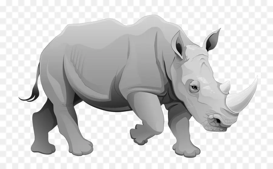 Rhinocéros，Dessin Animé PNG