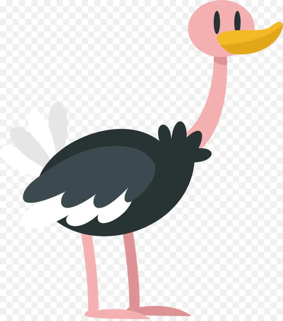 Autruche De Dessin Animé，Oiseau PNG