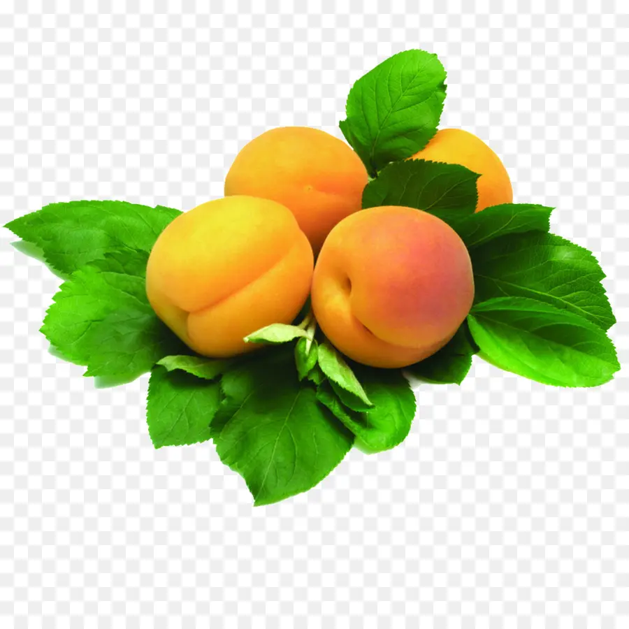 Abricots Avec Des Feuilles，Fruit PNG