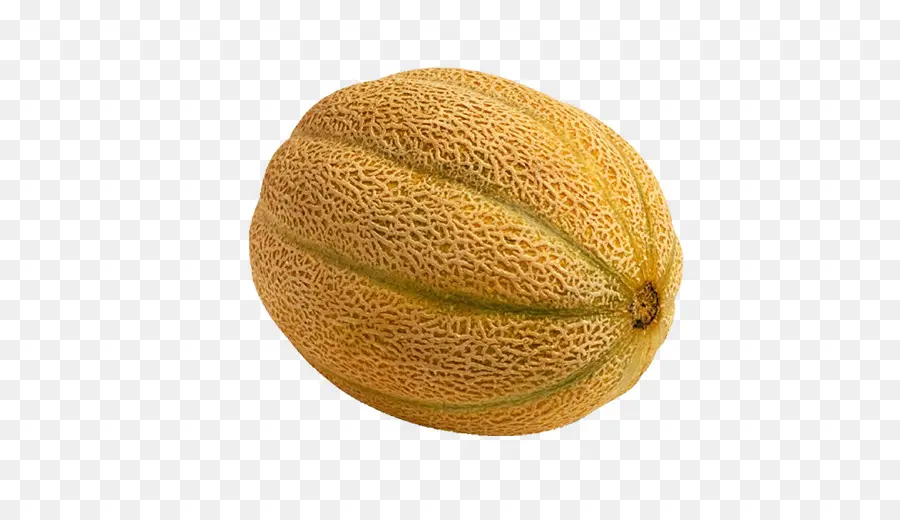 Cantaloup，Melon PNG