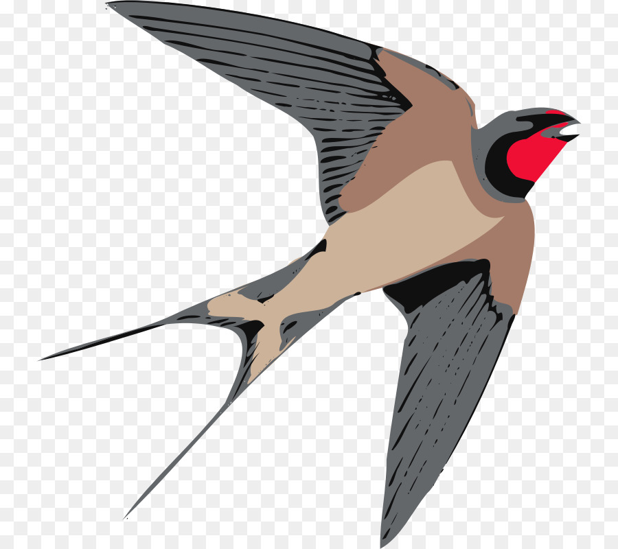 Avaler Un Oiseau，Vol PNG