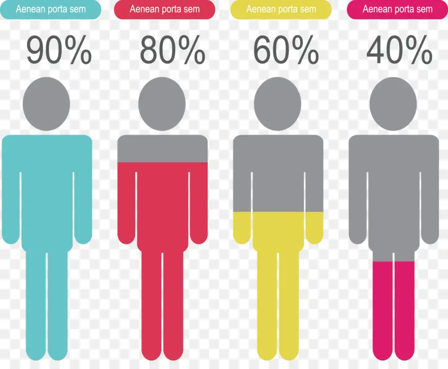 Infographie，Pourcentage PNG