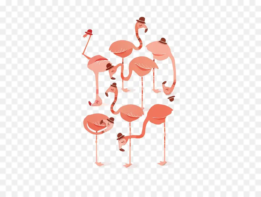 Groupe De Flamants Roses，Chapeaux PNG