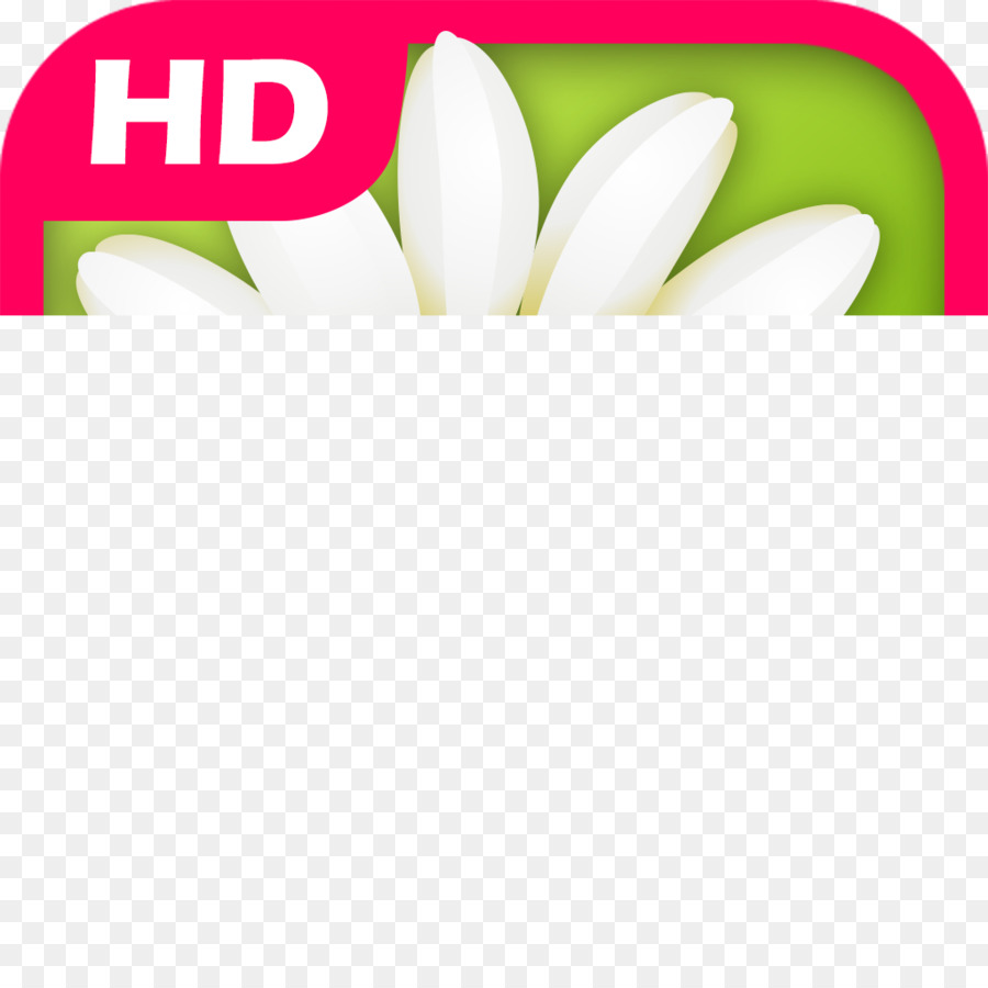 Icône Hd，Haute Définition PNG