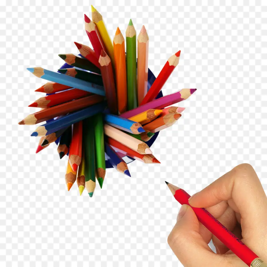 Crayon，Crayon De Couleur PNG
