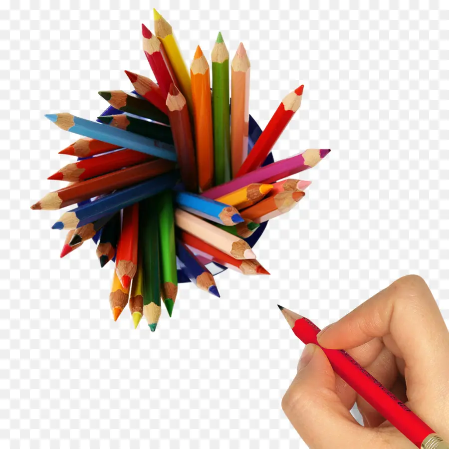 Crayons De Couleur，Main PNG