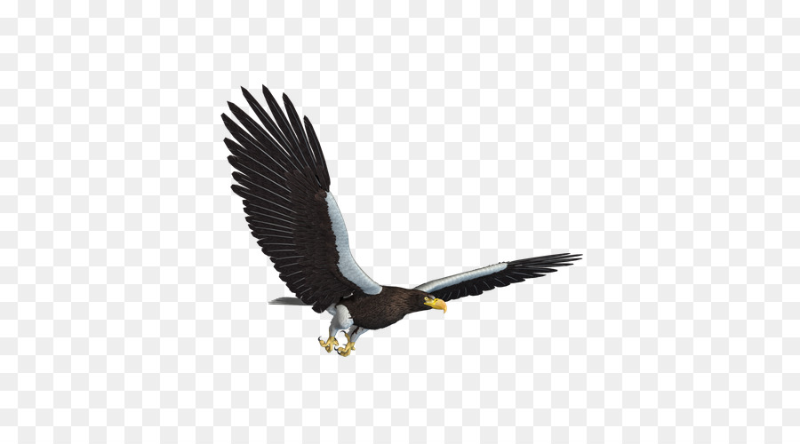 Aigle，Vol PNG