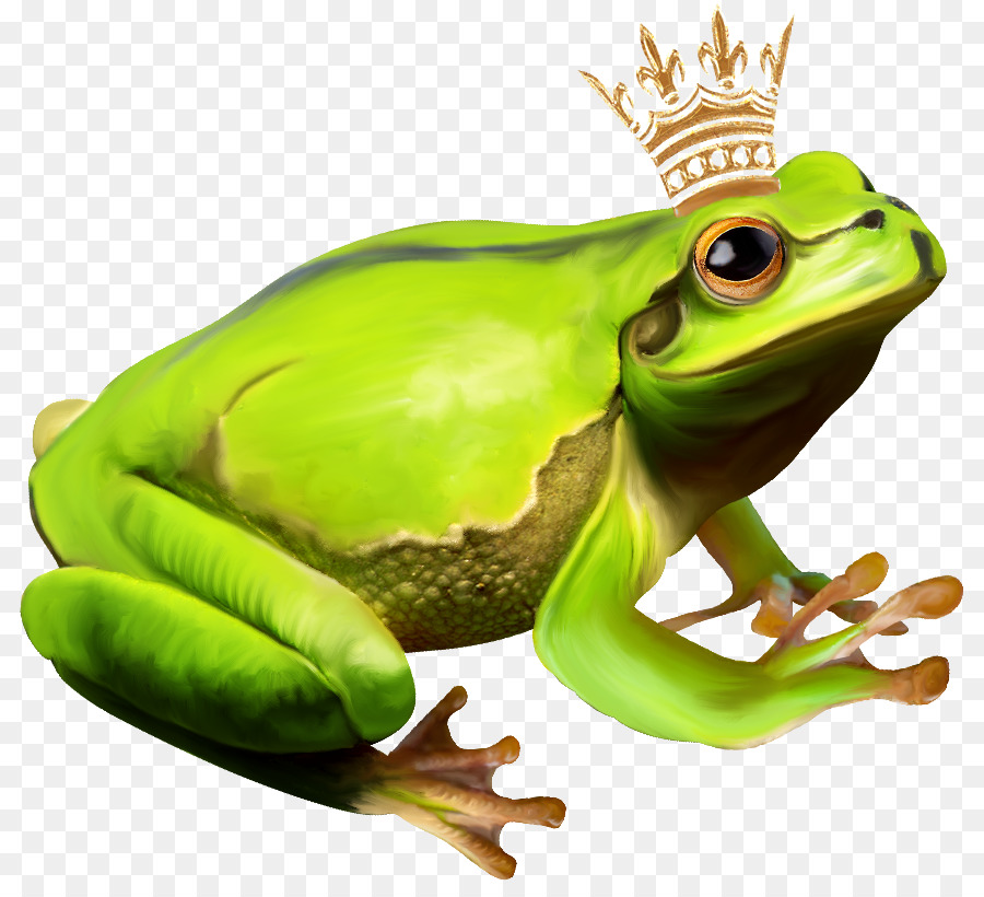 Grenouille Verte Avec Couronne，Grenouille PNG