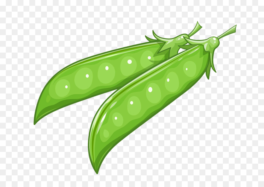 Pois Verts，Gousses PNG