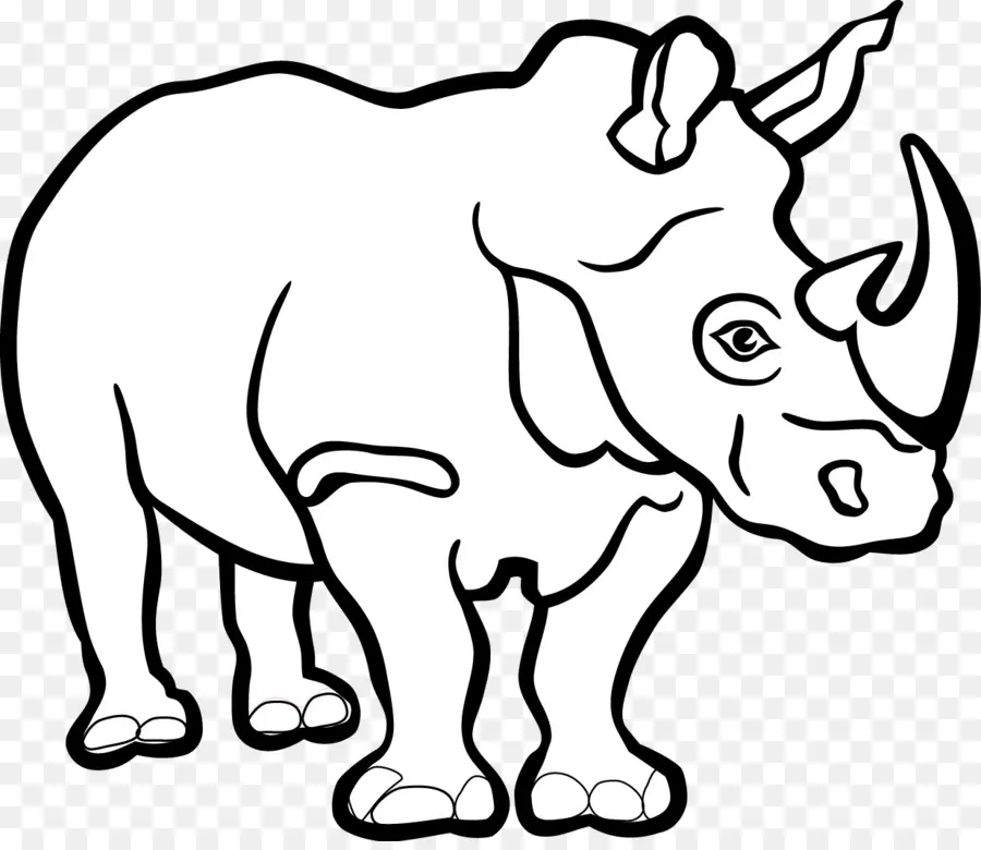 Rhinocéros，Corne PNG