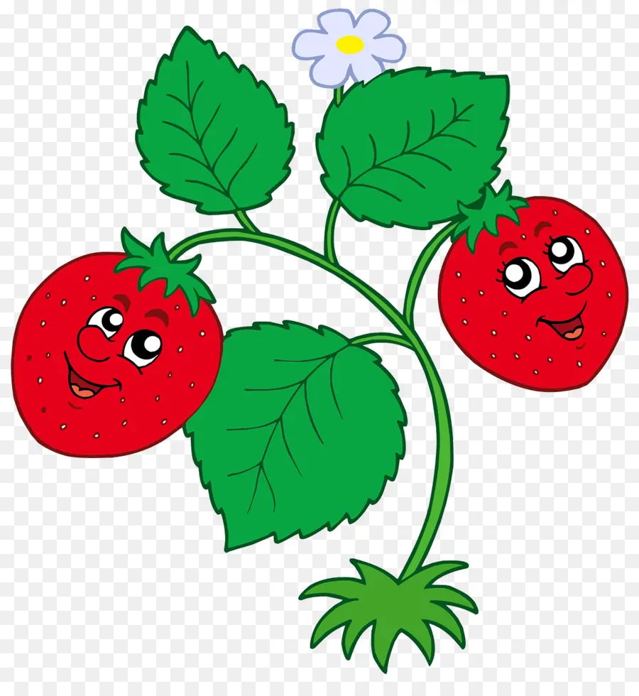 Fraises，Couleur Rouge PNG