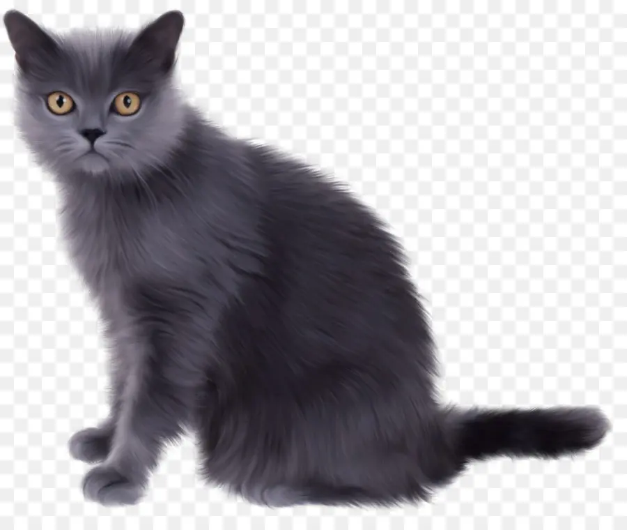 Chat，Animal De Compagnie PNG