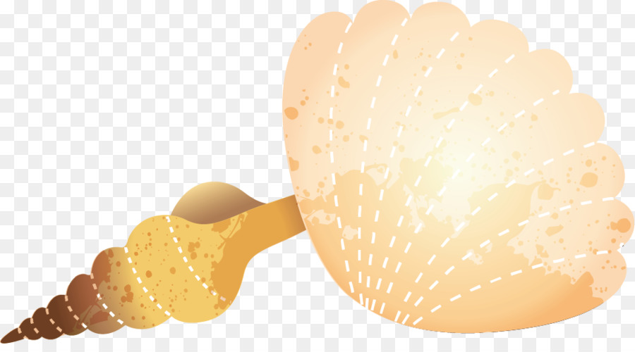 Crème Glacée，Coquillage PNG