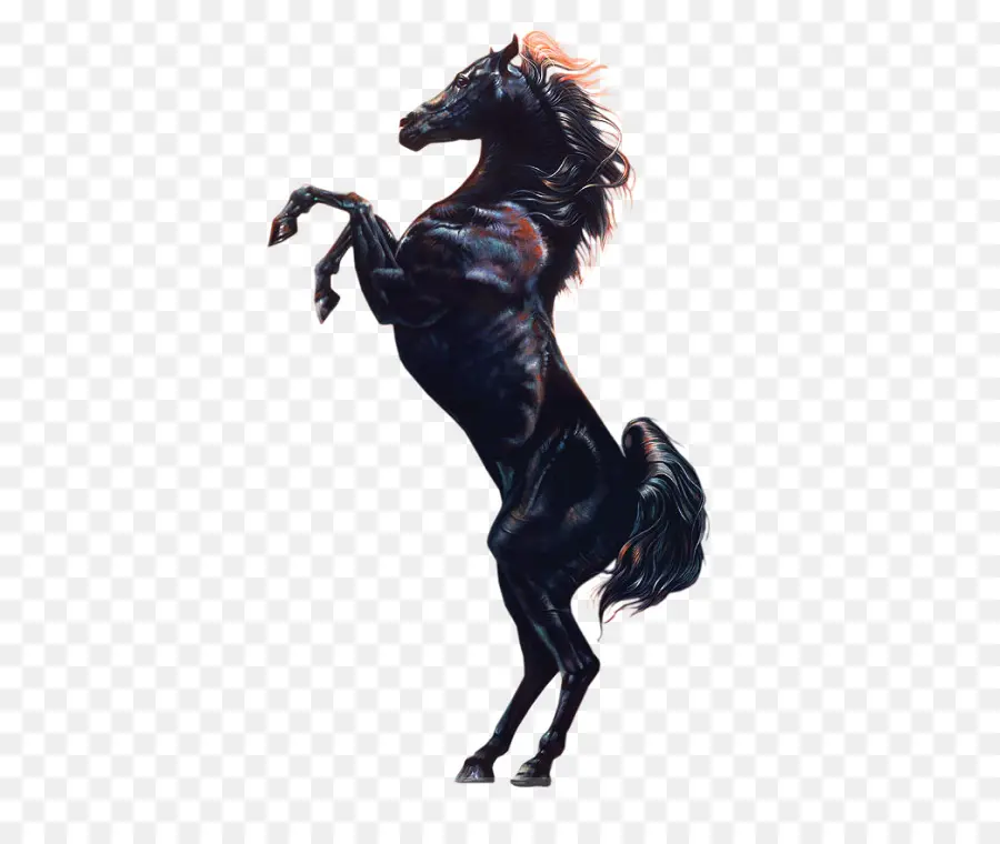Cheval，Film PNG