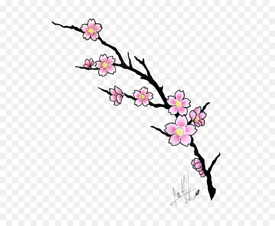 Fleur De Cerisier，Dessin PNG