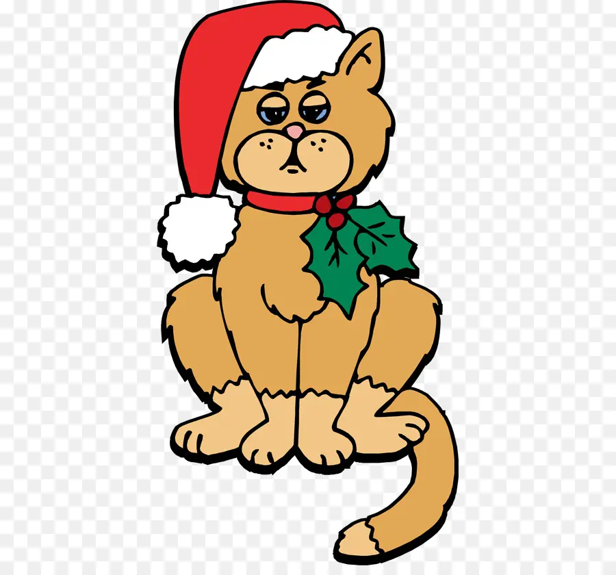 Chat De Noël，Chapeau De Père Noël PNG