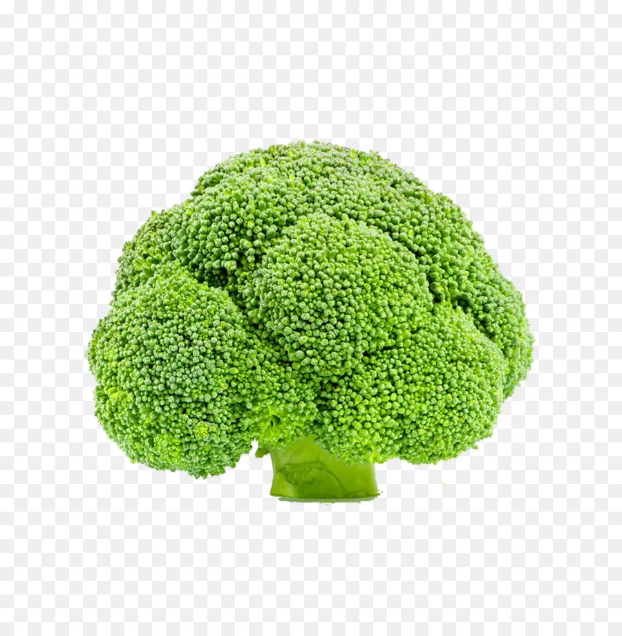 Brocoli，Légume PNG