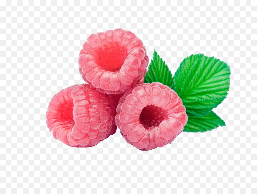 Framboises，Rose PNG