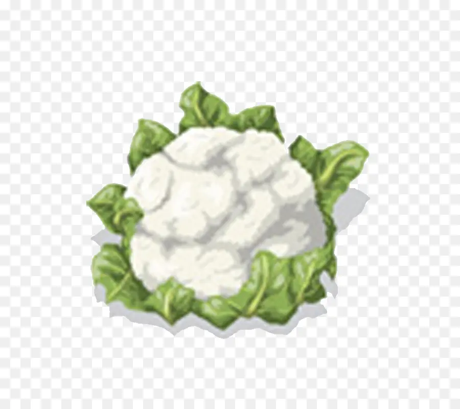 Chou Fleur，Feuillu PNG