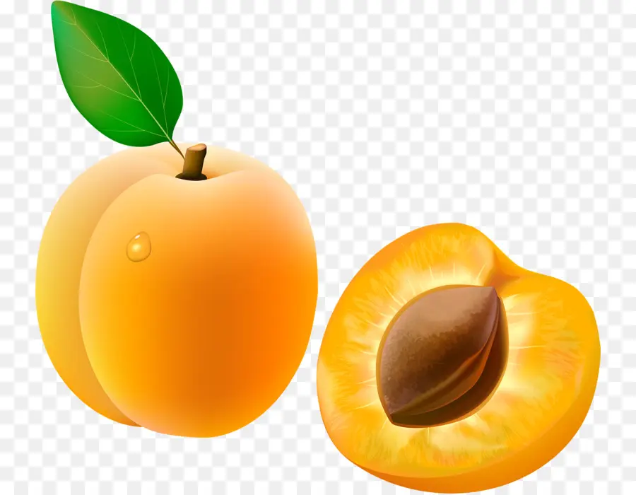 Abricot，Fruit PNG