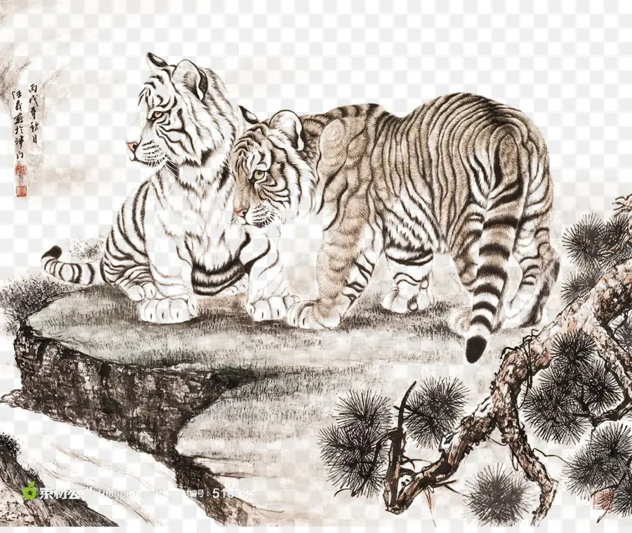 Deux Tigres，Gros Félins PNG