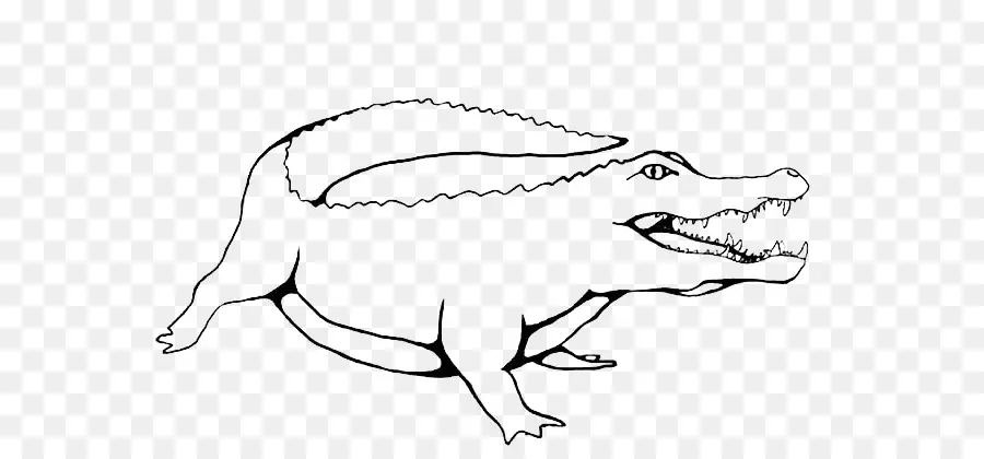 Crocodile，Reptile PNG