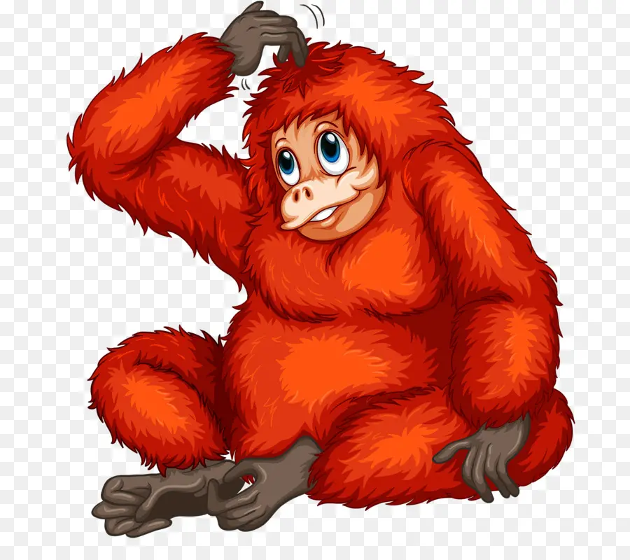 Singe De Dessin Animé，Primate PNG