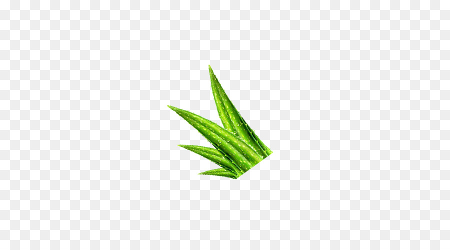 Herbe Verte，Nature PNG