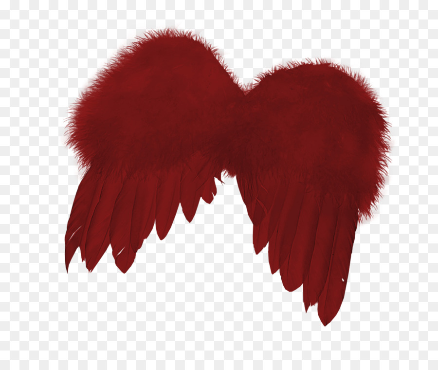 Ailes Rouges，Plumes PNG