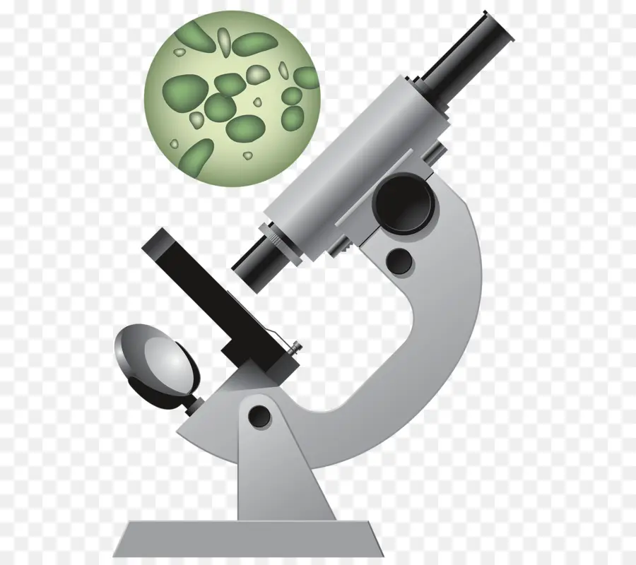 Microscope，Laboratoire PNG