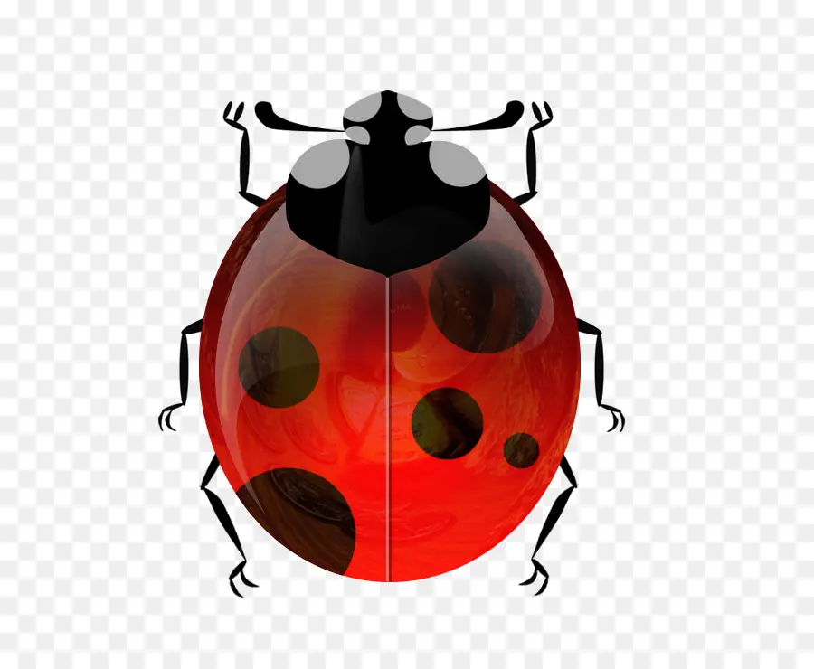 Coccinelle Rouge，Taches PNG