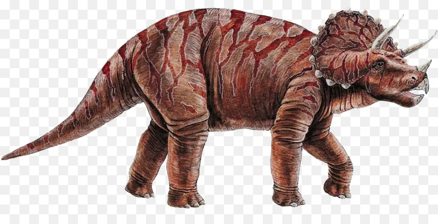 Tricératops，Dinosaure PNG