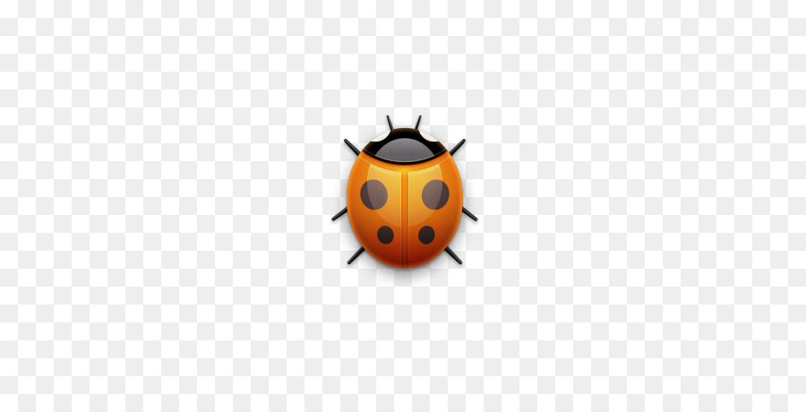 Coccinelle，Insecte PNG