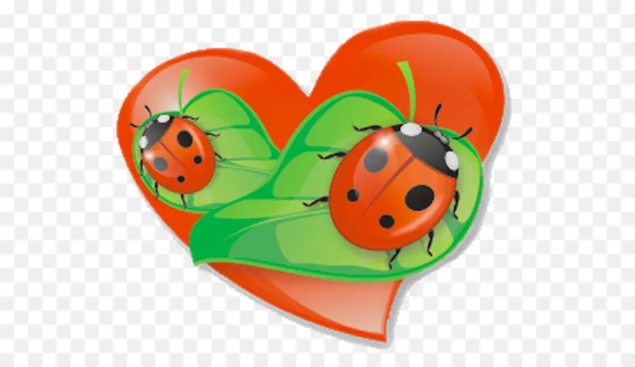 Coccinelles Sur Les Feuilles，Cœur PNG