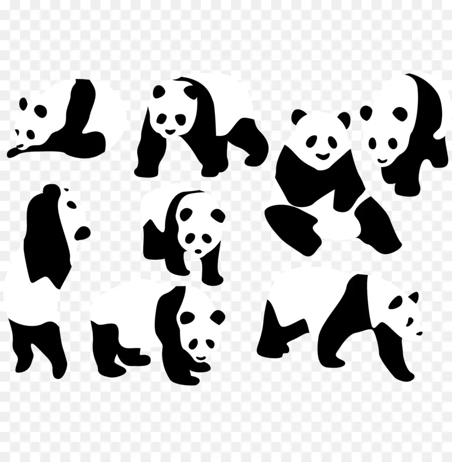 Pandas，Noir Et Blanc PNG